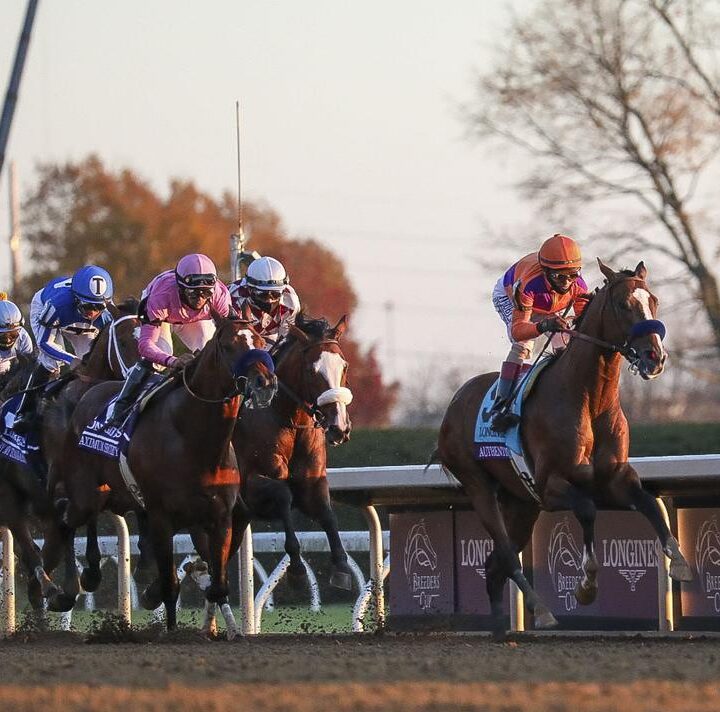 4 Reasons To Watch The Breeders Cup 2024